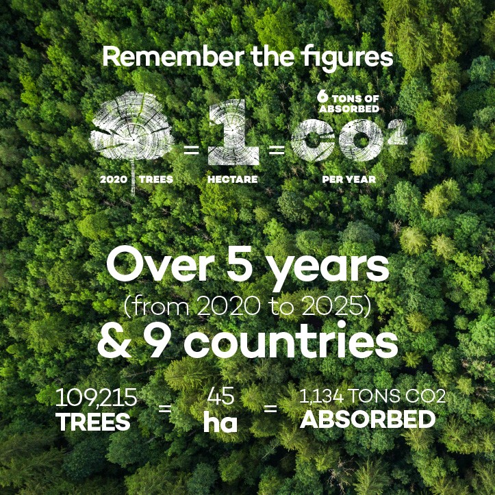 Banner Trees until 2025 pour site corpo Banner Trees until 2025 pour site corpo